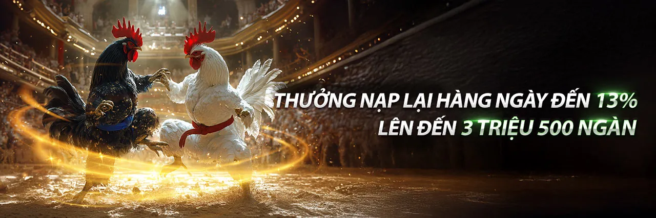Đá Gà Trực Tuyến dk win55 99k