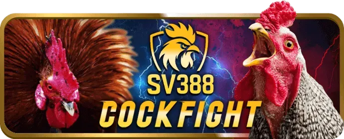 Ưu đãi độc quyền dk win55 99k